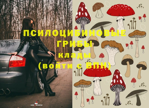 СК Каменск-Шахтинский