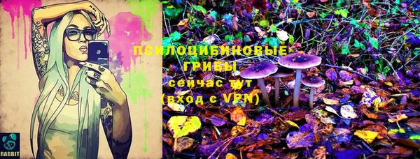 мяу мяу мука Каменногорск