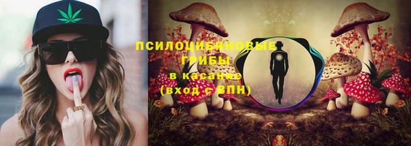 мяу мяу мука Каменногорск