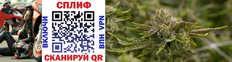 Конопля OG Kush  дарнет шоп  Самара 